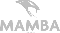 Logo for Mamba